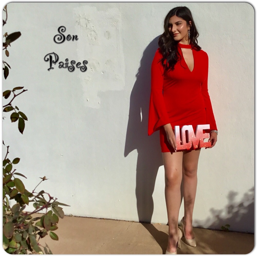 Red Flare Sleeve Dress-CLEARANCE - Picture 4 of 7